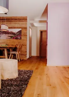 Apartment Graukogel